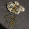 Genmaicha