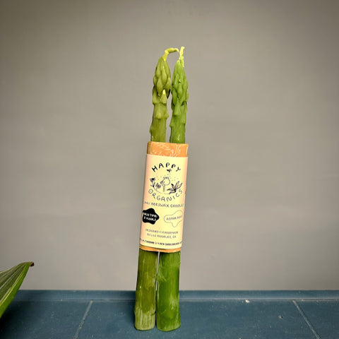Beeswax Asparagus Candle Taper Pair (2)