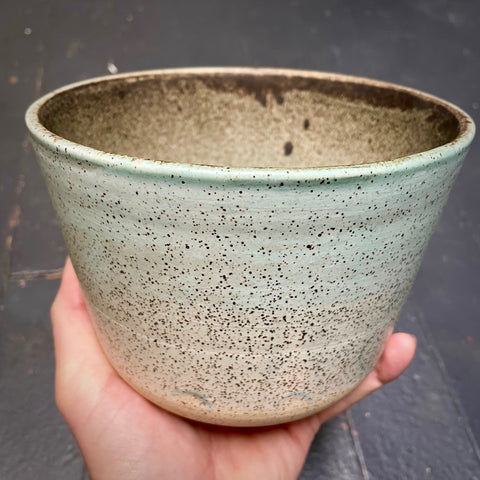 Speckled Sturdy Bowl