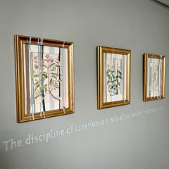 Stripes "Collaboration" Series - Herbs