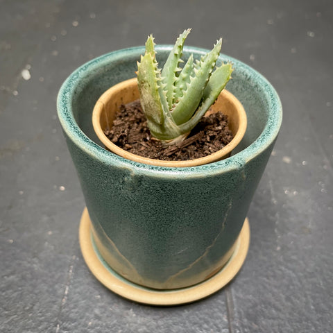 Succulent Planter