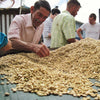 TBD Coffee Class